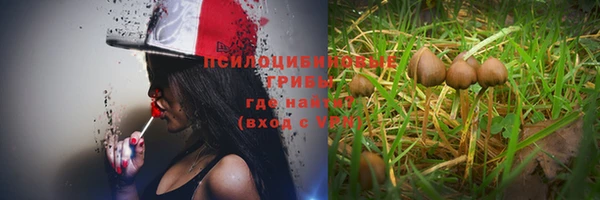 трава Алзамай
