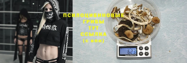 прущие крисы Аркадак