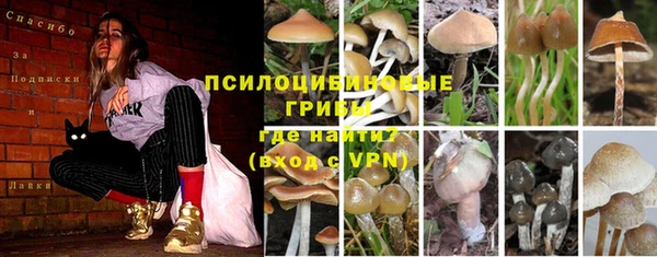мяу мяу кристалл Алексеевка