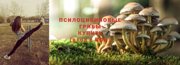 трава Алзамай